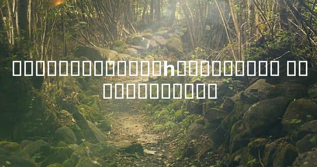 �������������һ��������� ������������